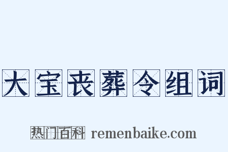 大宝丧葬令组词是什么意思的图片